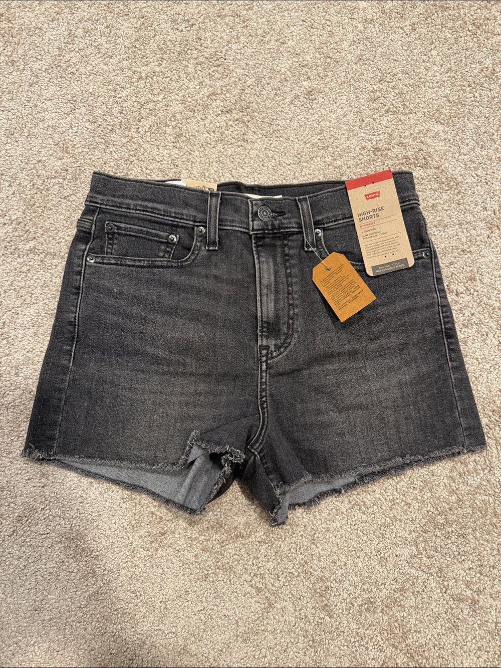 Women’s Size 8 Levi's Black High-Rise Denim Shorts with Frayed Hem